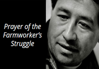 Prayer of Farmworker's Struggle